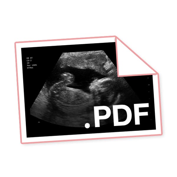 PDF with instant digital delivery